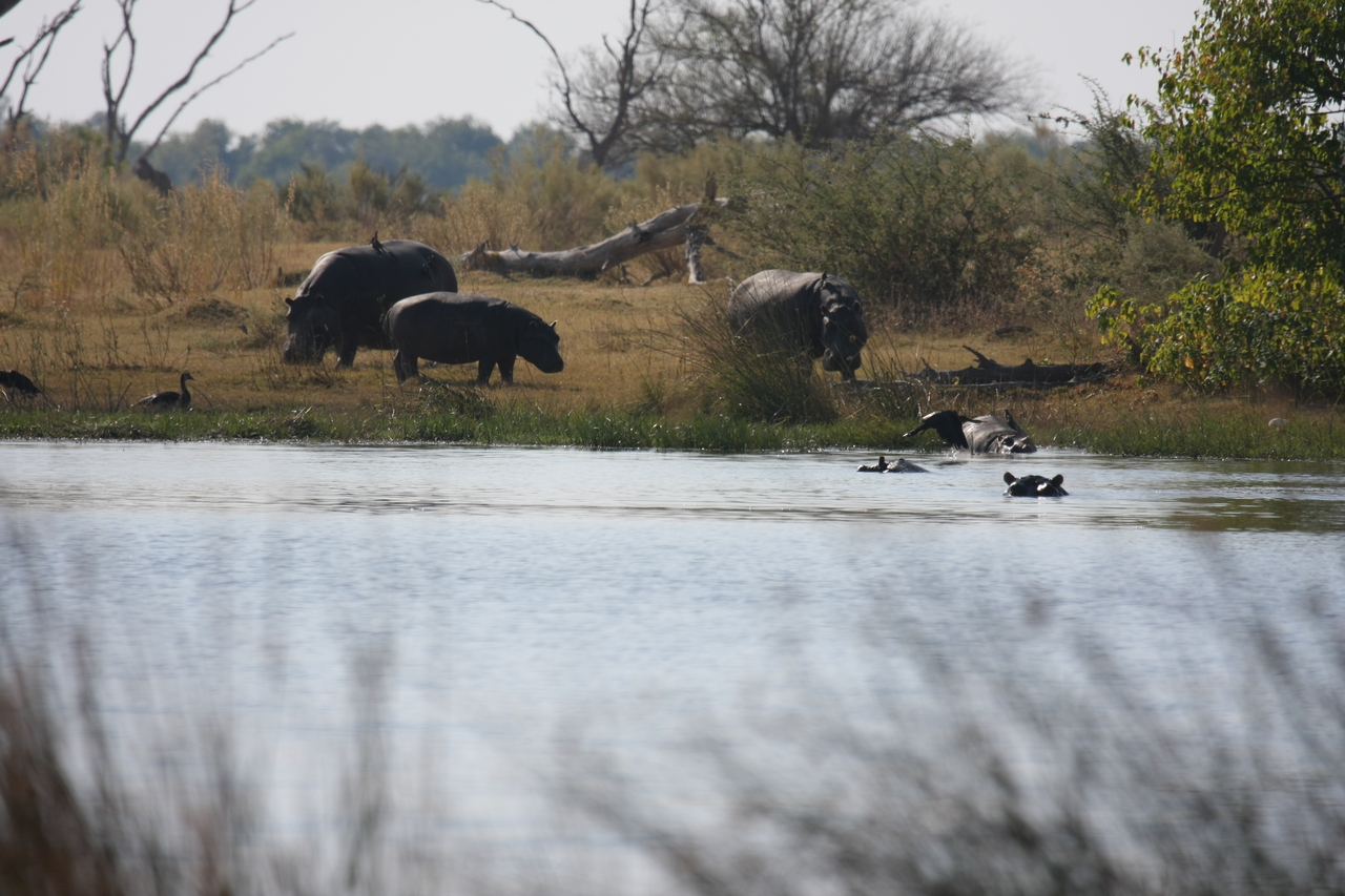 [24761] 2016_06_30_09_06_23_Africa_Canon_EOS_40D_IMG__00622.jpg