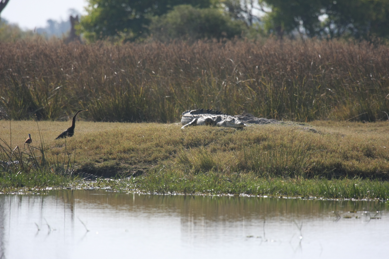 [24773] 2016_06_30_09_09_49_Africa_Canon_EOS_40D_IMG__00627.jpg