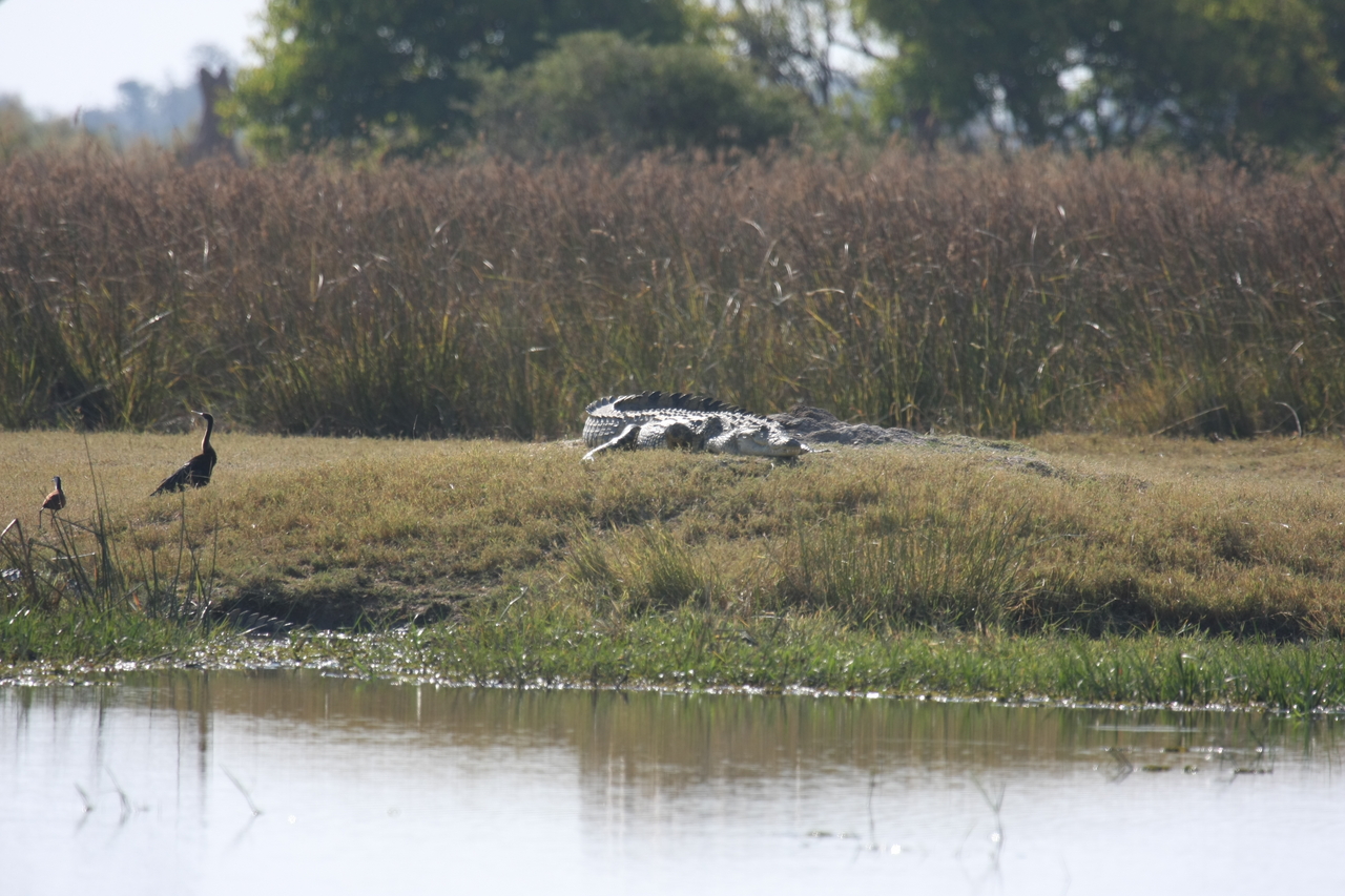 [24779] 2016_06_30_09_09_54_Africa_Canon_EOS_40D_IMG__00629.jpg