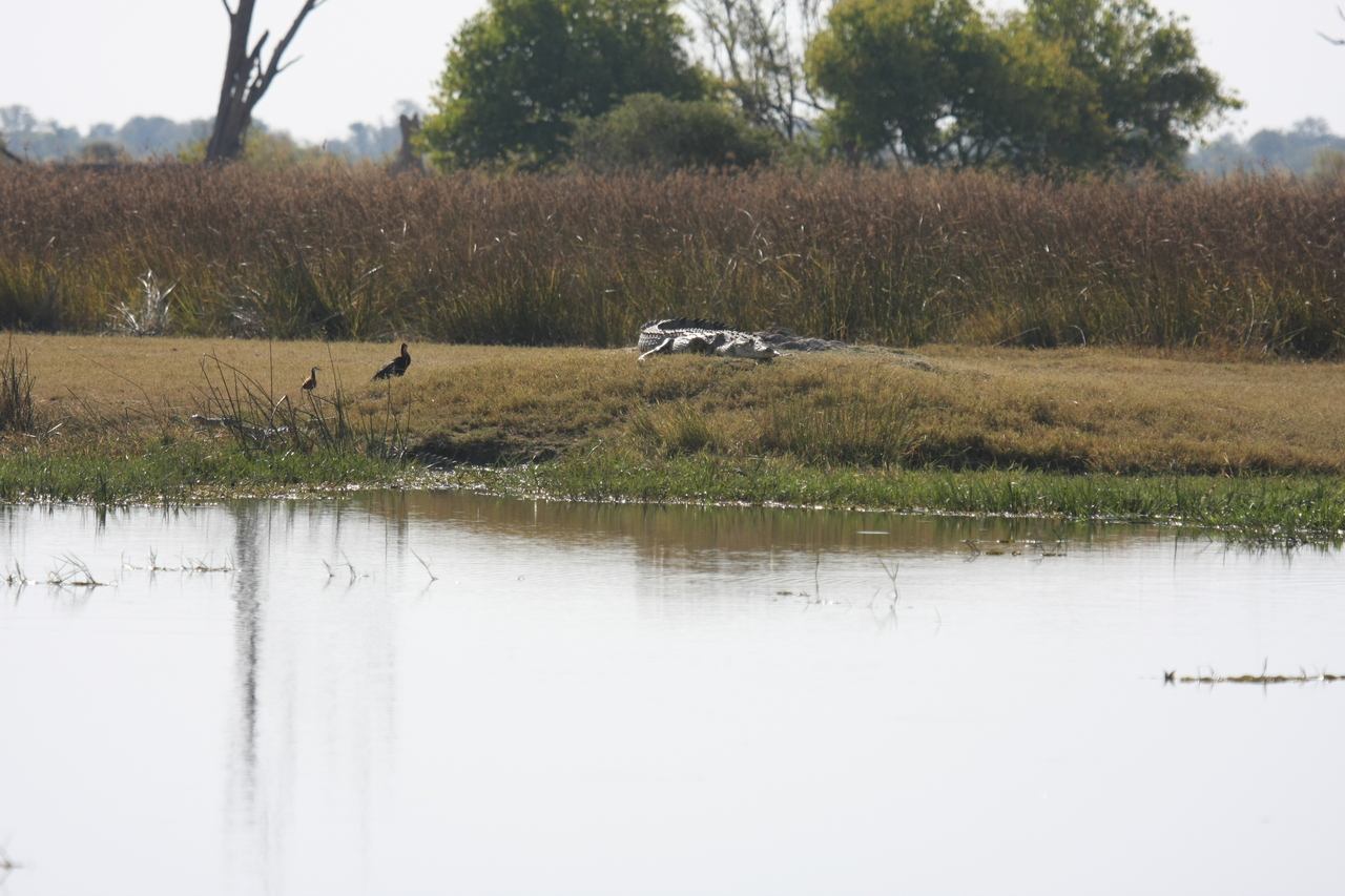 [24788] 2016_06_30_09_10_00_Africa_Canon_EOS_40D_IMG__04358.jpg