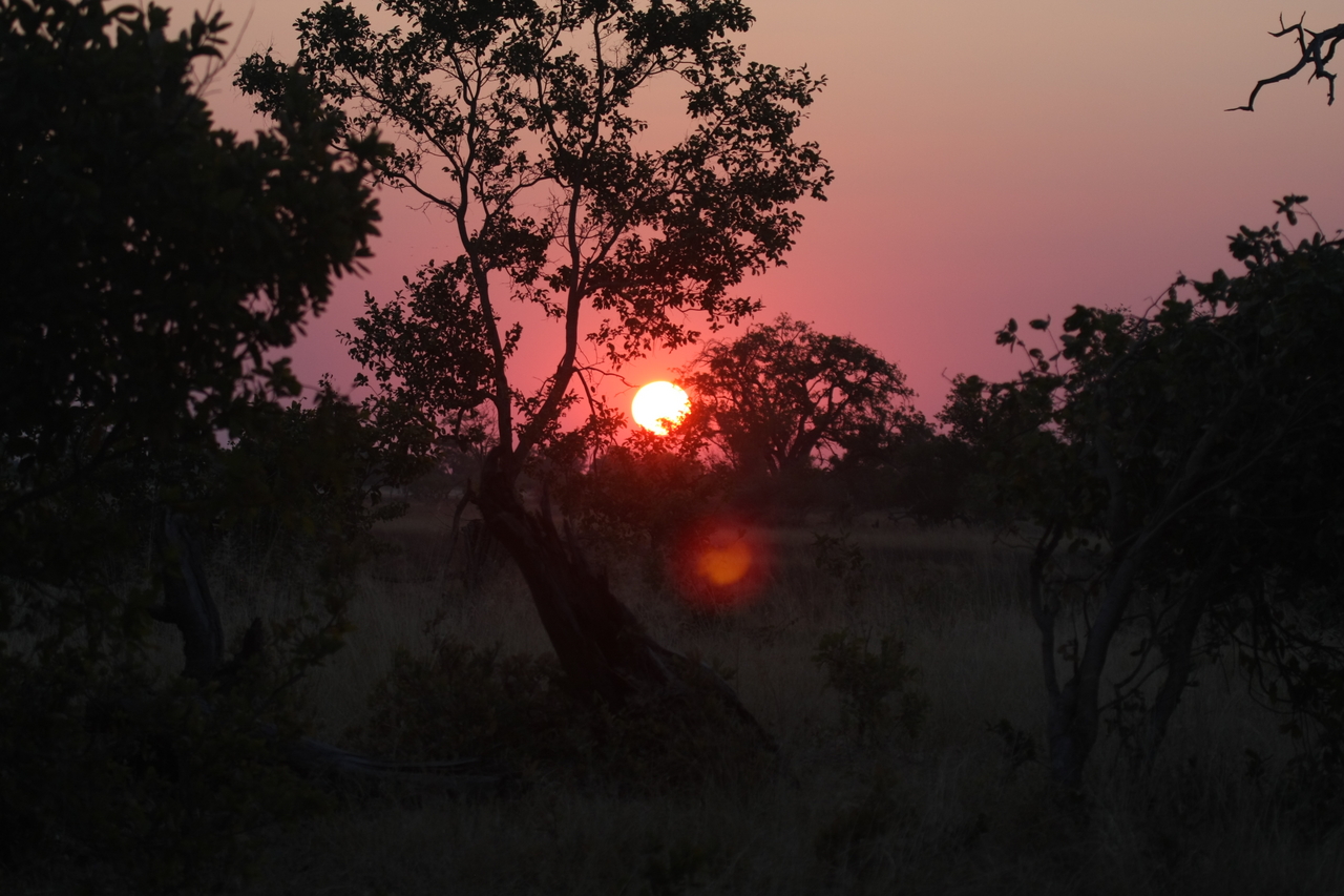 [25207] 2016_06_30_11_53_36_Africa_Canon_EOS_40D_IMG__04501.jpg