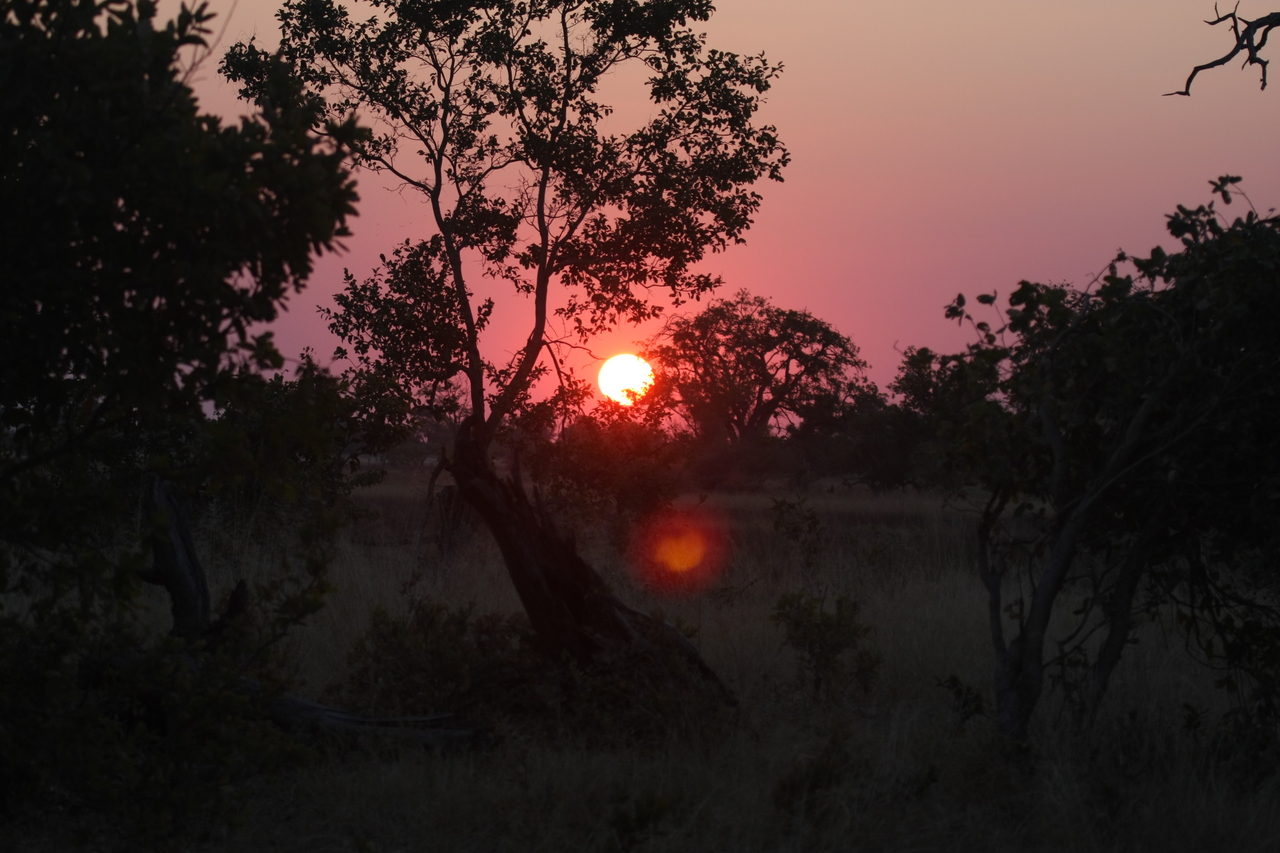 [25208] 2016_06_30_11_53_36_Africa_Canon_EOS_40D_IMG__04502.jpg