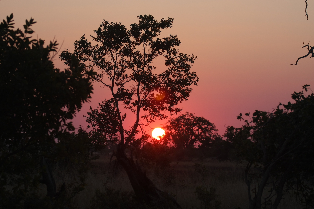 [25214] 2016_06_30_11_53_40_Africa_Canon_EOS_40D_IMG__00778.jpg