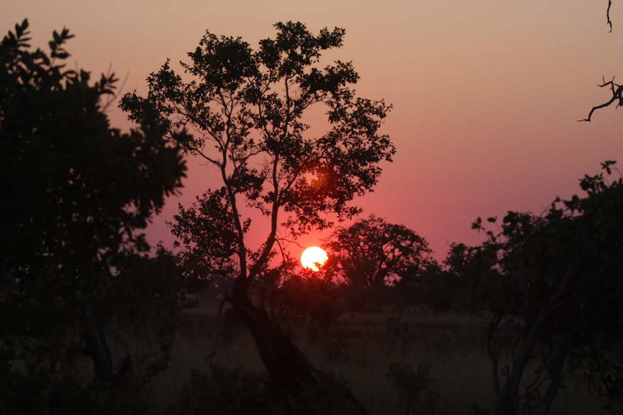 [25234] 2016_06_30_11_53_45_Africa_Canon_EOS_40D_IMG__11959.jpg