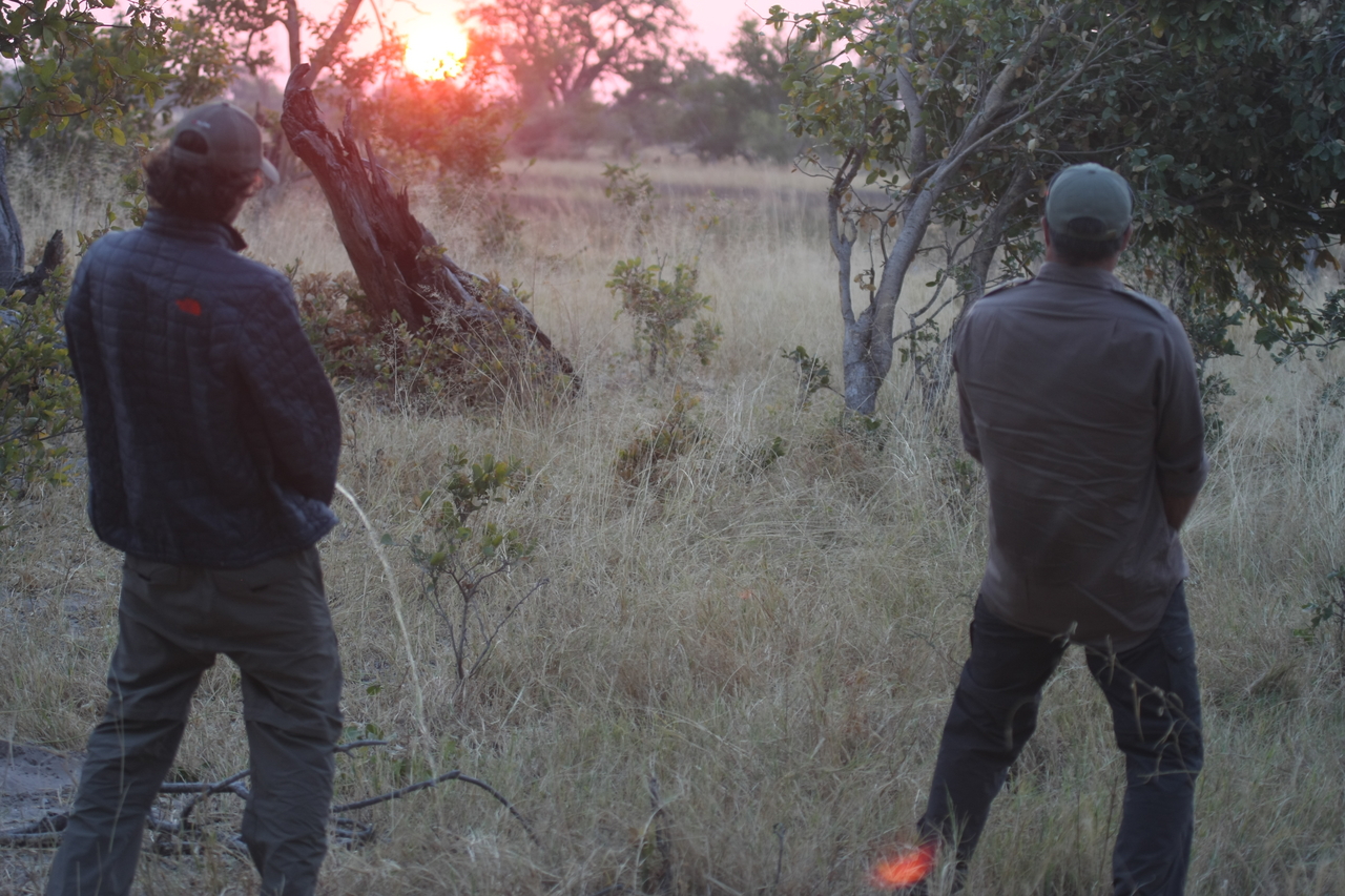 [25238] 2016_06_30_11_54_17_Africa_Canon_EOS_40D_IMG__04513.jpg