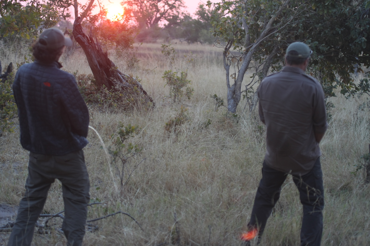 [25244] 2016_06_30_11_54_18_Africa_Canon_EOS_40D_IMG__00790.jpg