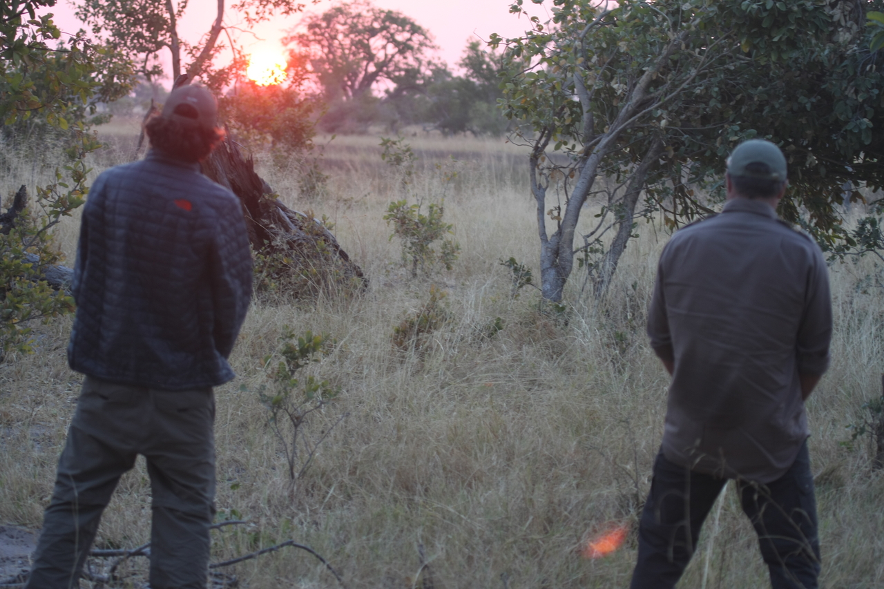 [25262] 2016_06_30_11_54_33_Africa_Canon_EOS_40D_IMG__04522.jpg