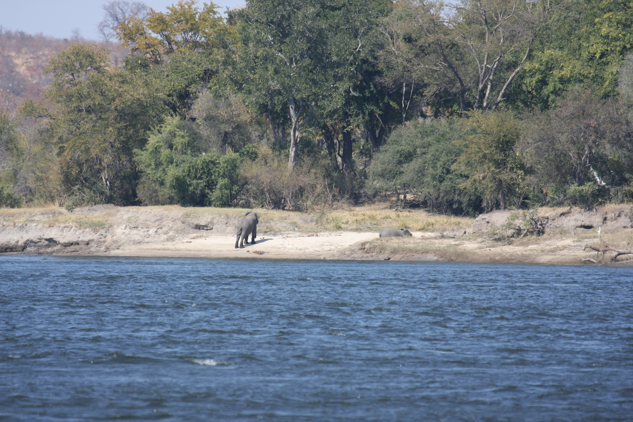 [27865] 2016_07_02_07_53_42_Africa_Canon_EOS_40D_IMG__04549.jpg