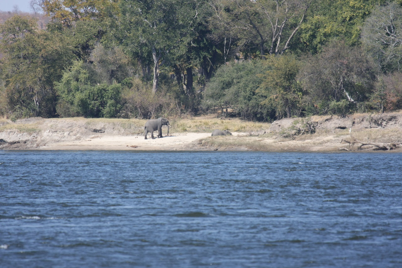 [27873] 2016_07_02_07_53_54_Africa_Canon_EOS_40D_IMG__04551.jpg