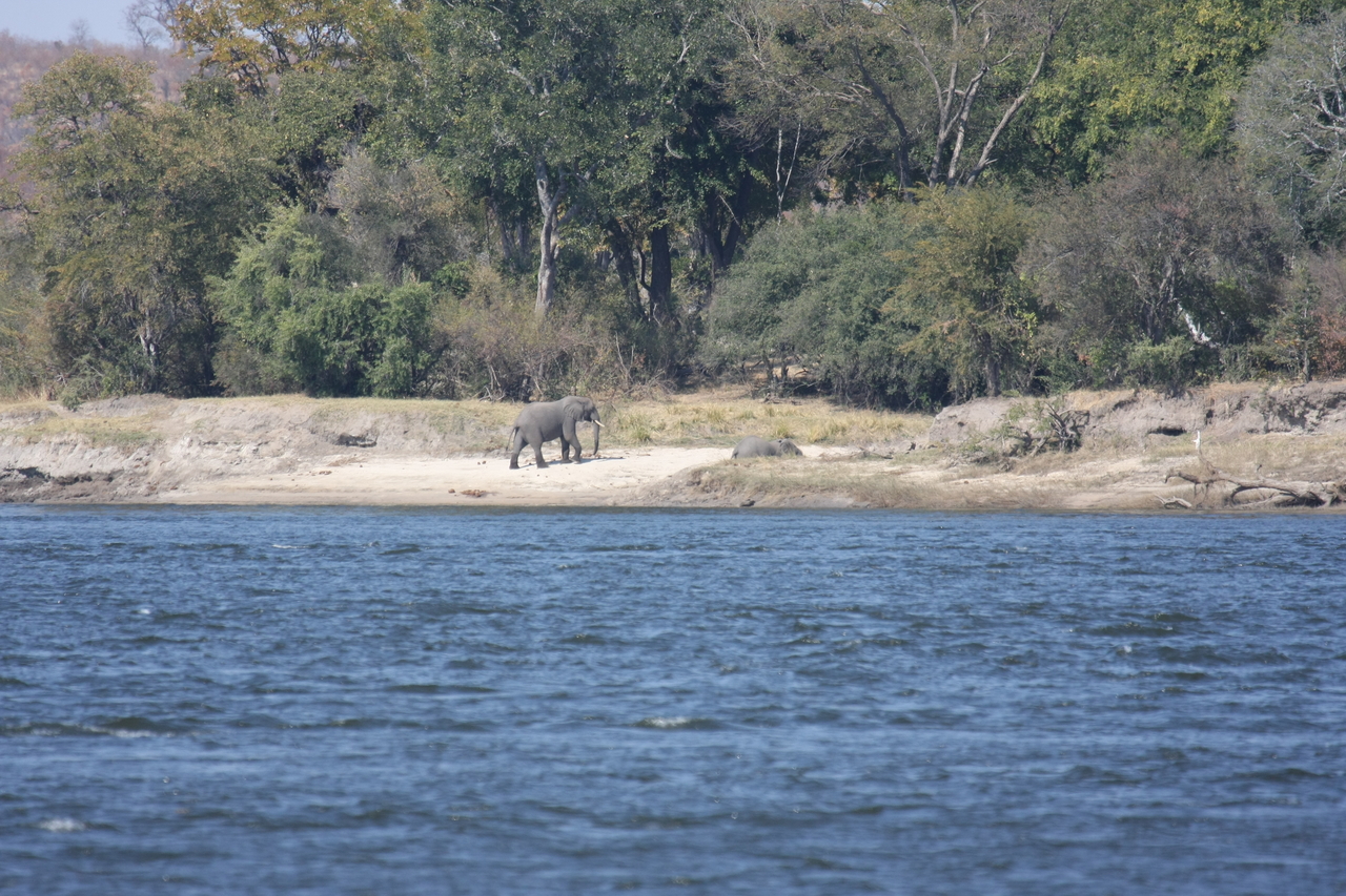 [27874] 2016_07_02_07_53_54_Africa_Canon_EOS_40D_IMG__04552.jpg