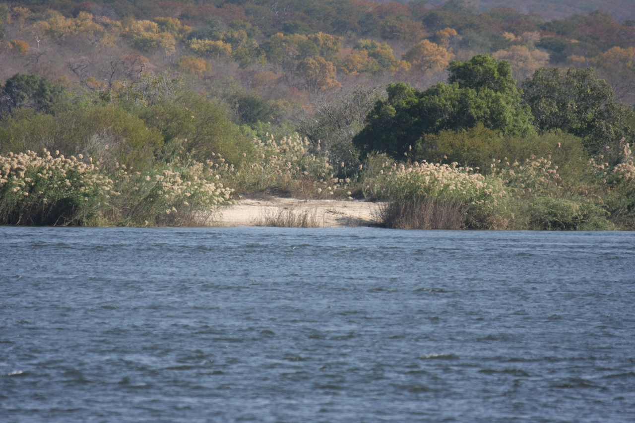 [27922] 2016_07_02_08_41_10_Africa_Canon_EOS_40D_IMG__04564.jpg