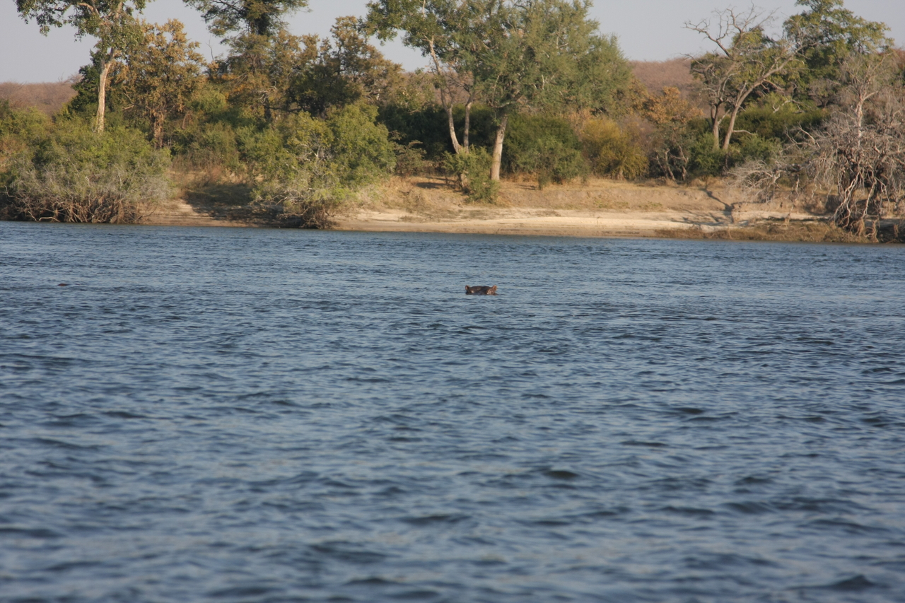 [28149] 2016_07_02_10_17_48_Africa_Canon_EOS_40D_IMG__04570.jpg
