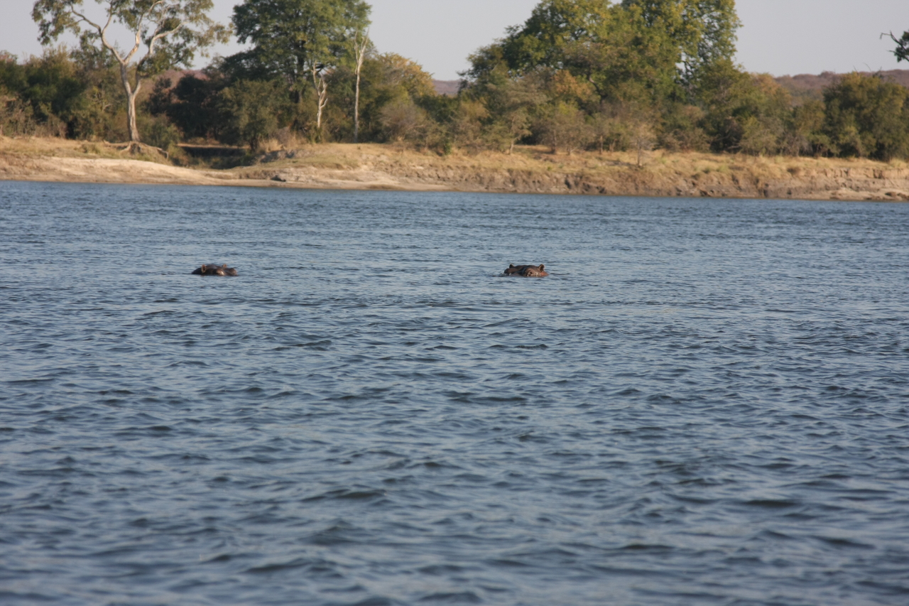 [28154] 2016_07_02_10_18_15_Africa_Canon_EOS_40D_IMG__04571.jpg