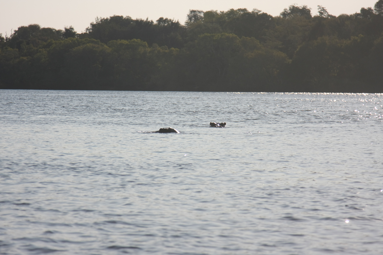 [28160] 2016_07_02_10_19_07_Africa_Canon_EOS_40D_IMG__04573.jpg