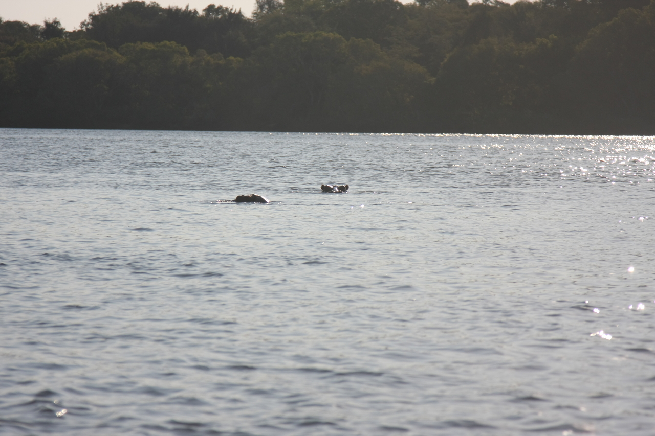[28161] 2016_07_02_10_19_07_Africa_Canon_EOS_40D_IMG__04574.jpg