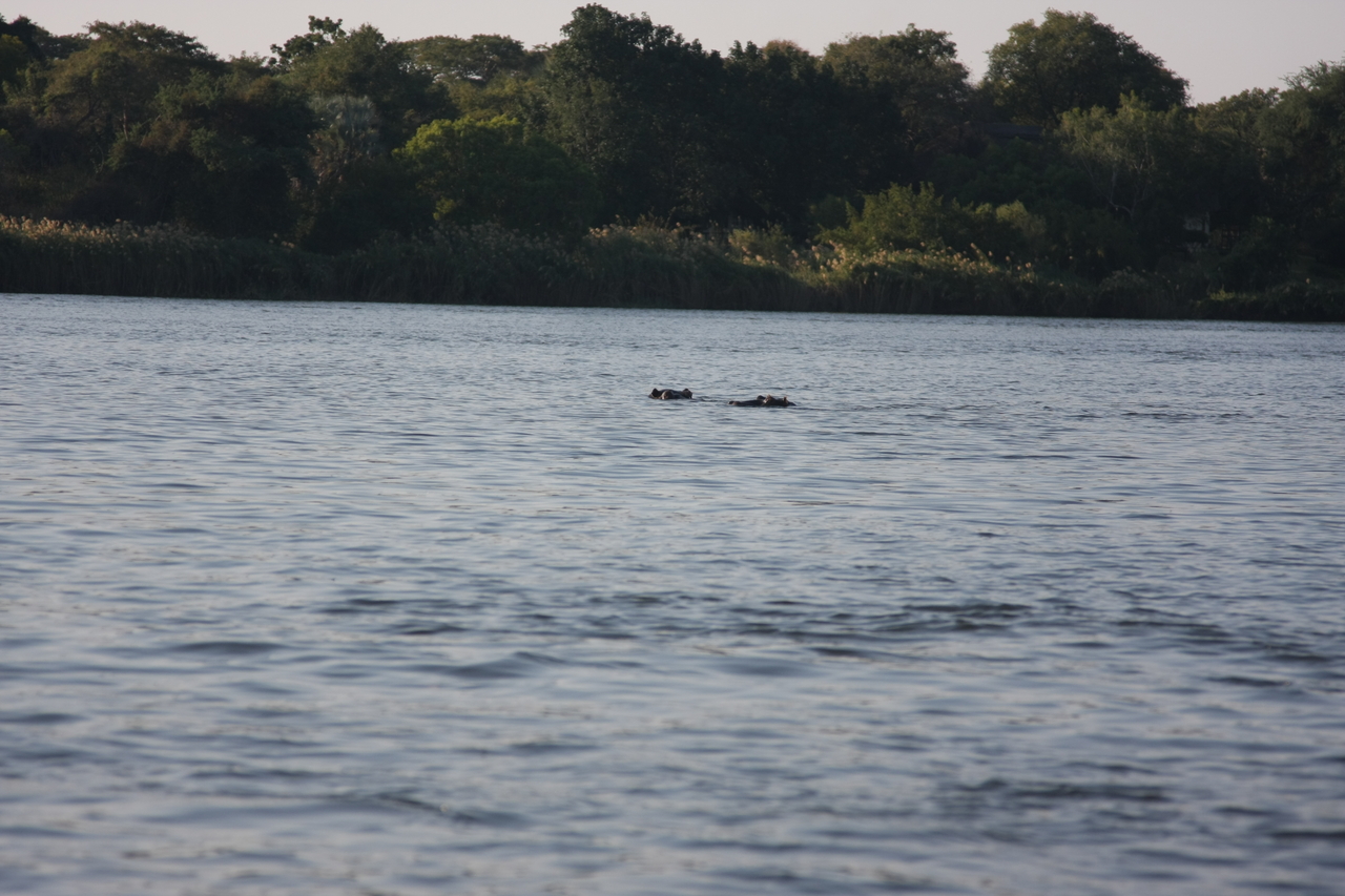 [28167] 2016_07_02_10_20_44_Africa_Canon_EOS_40D_IMG__04575.jpg