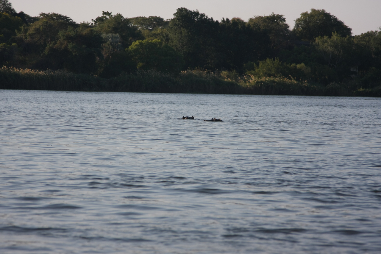 [28169] 2016_07_02_10_20_44_Africa_Canon_EOS_40D_IMG__04577.jpg