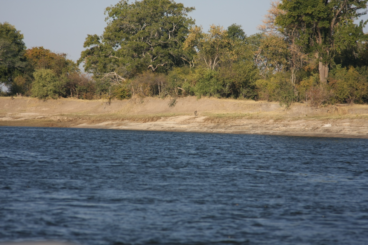 [28193] 2016_07_02_10_24_59_Africa_Canon_EOS_40D_IMG__04583.jpg