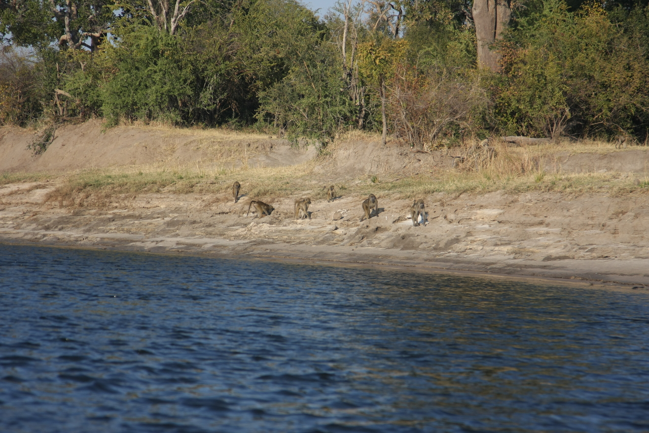 [28201] 2016_07_02_10_26_13_Africa_Canon_EOS_40D_IMG__04586.jpg