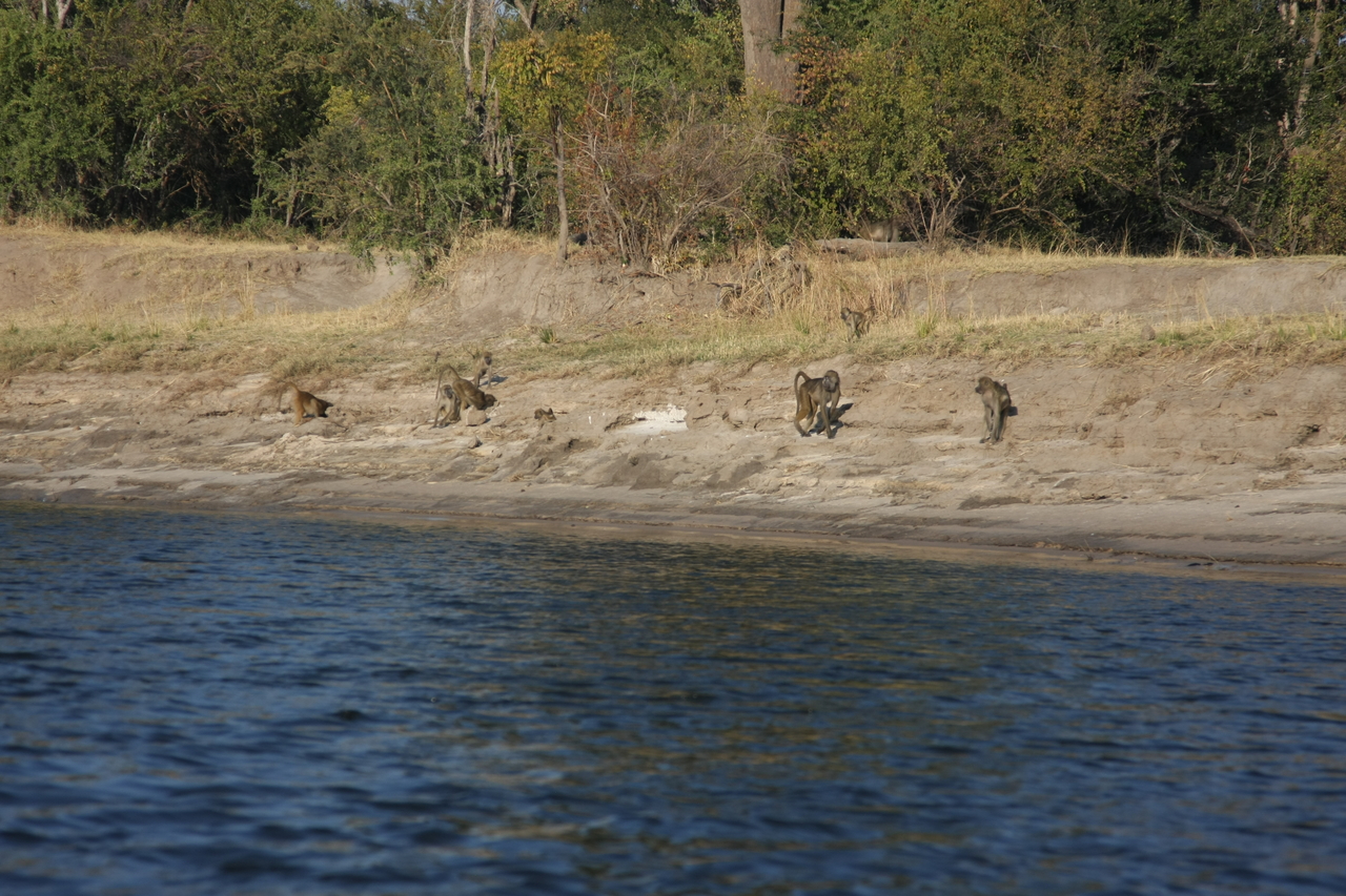 [28207] 2016_07_02_10_26_25_Africa_Canon_EOS_40D_IMG__04588.jpg