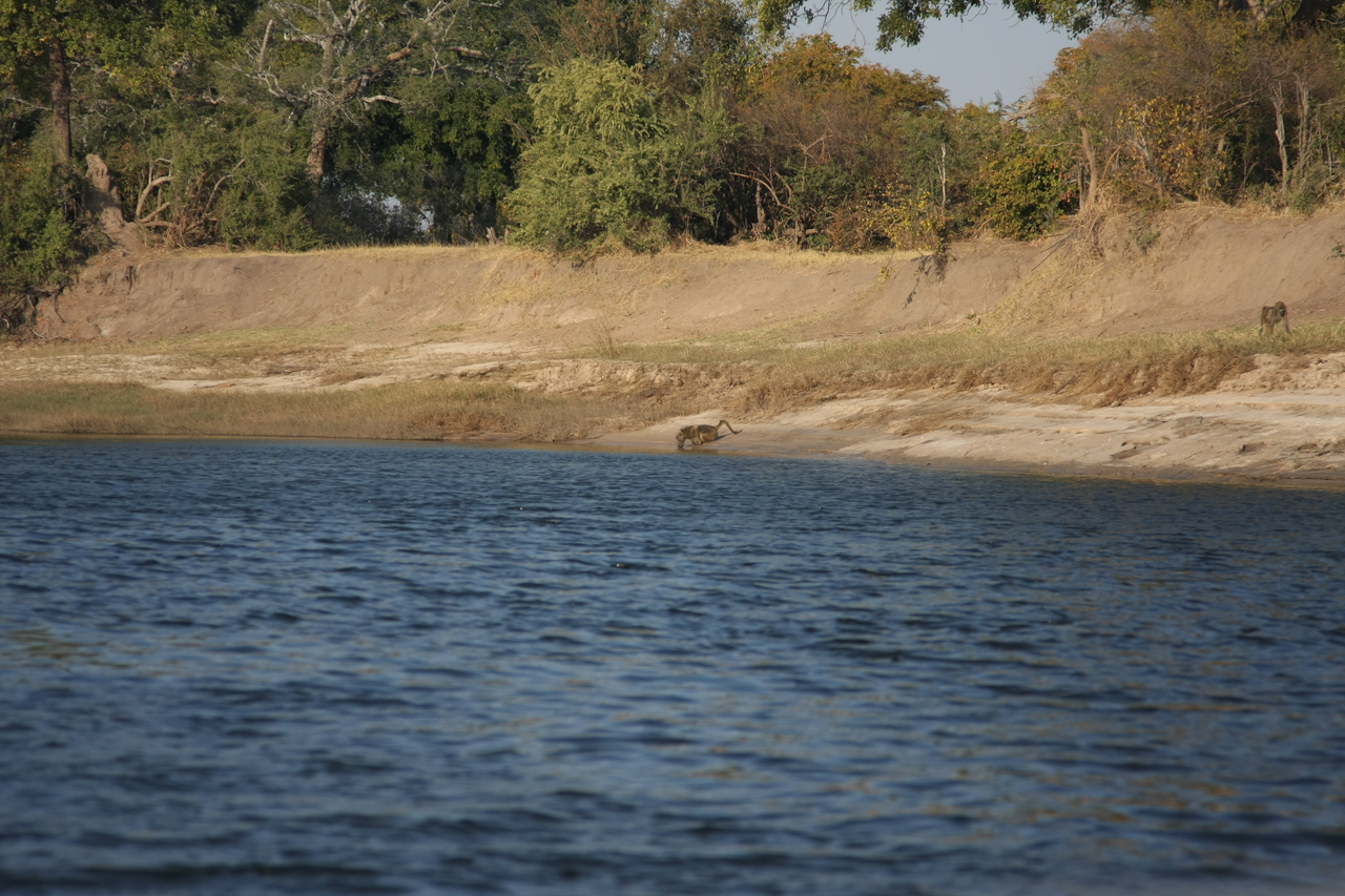 [28236] 2016_07_02_10_27_01_Africa_Canon_EOS_40D_IMG__04598.jpg