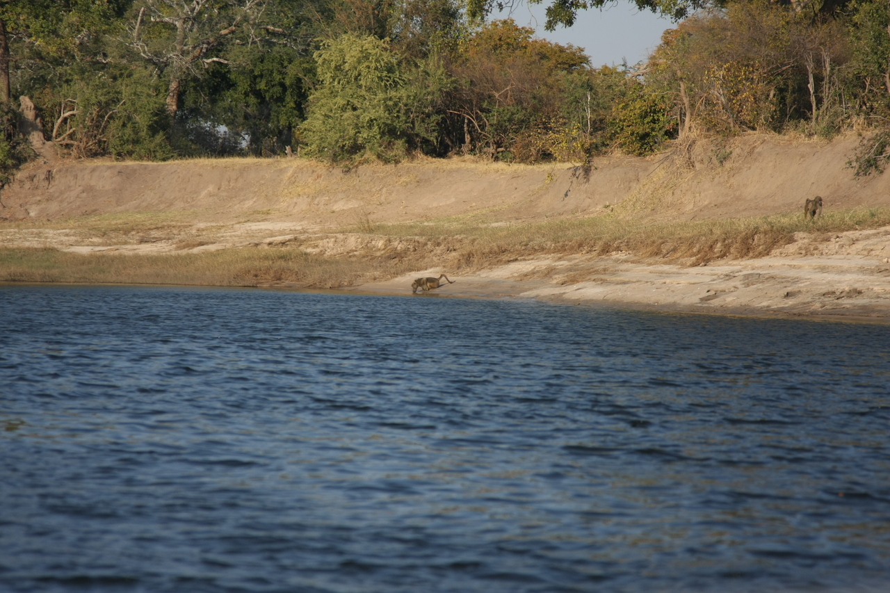 [28237] 2016_07_02_10_27_01_Africa_Canon_EOS_40D_IMG__04599.jpg