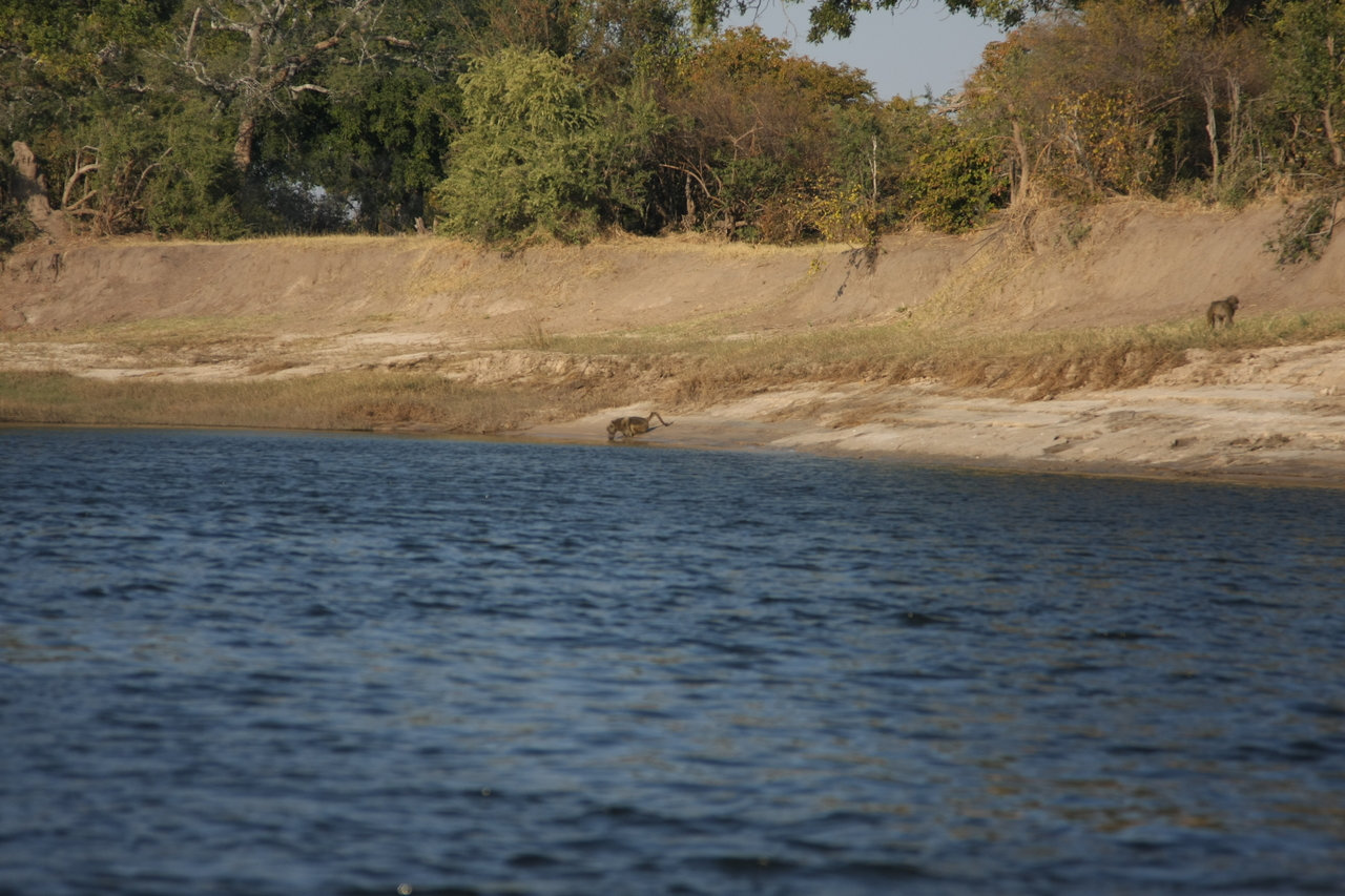 [28238] 2016_07_02_10_27_01_Africa_Canon_EOS_40D_IMG__04600.jpg