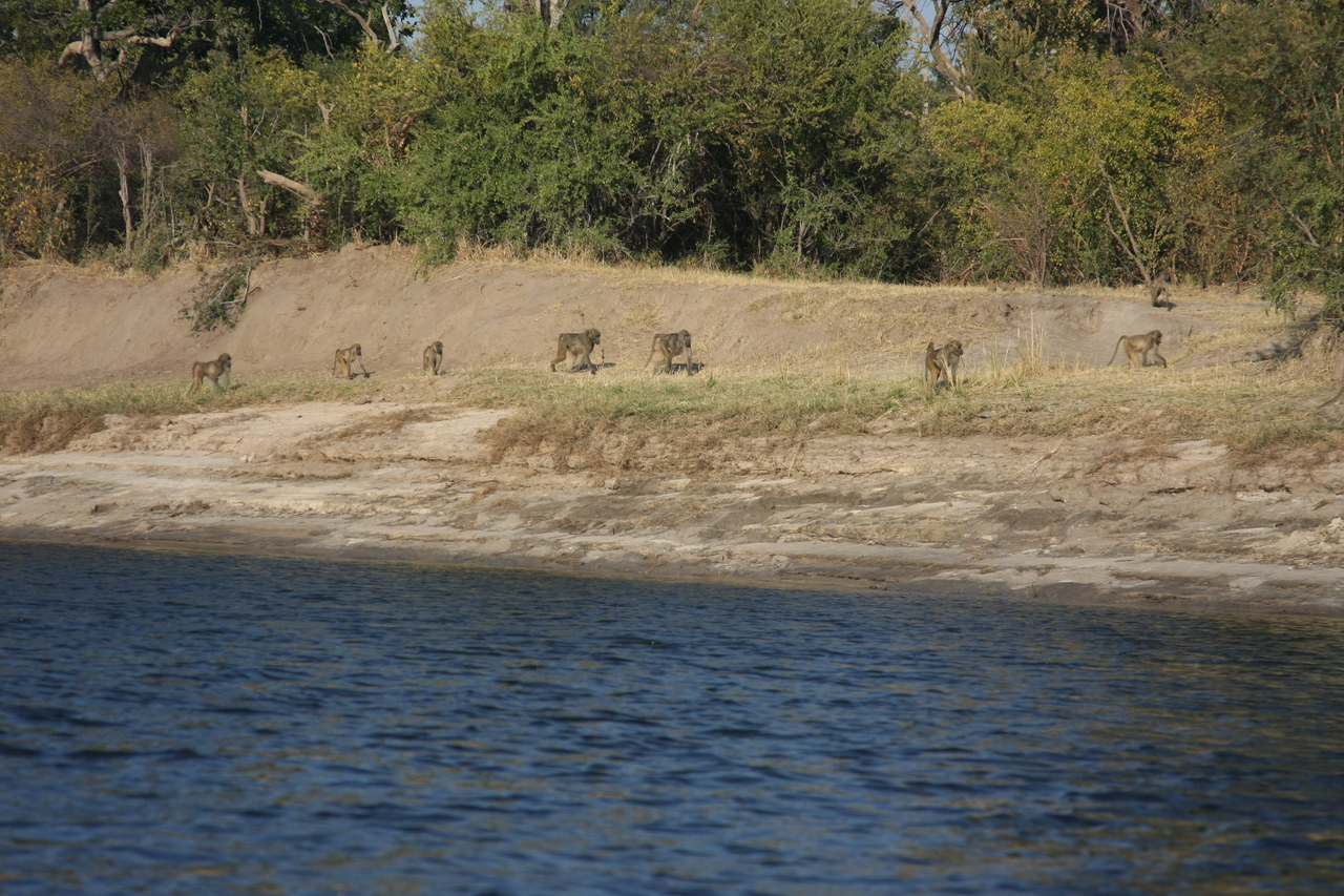 [28242] 2016_07_02_10_27_04_Africa_Canon_EOS_40D_IMG__00059.jpg