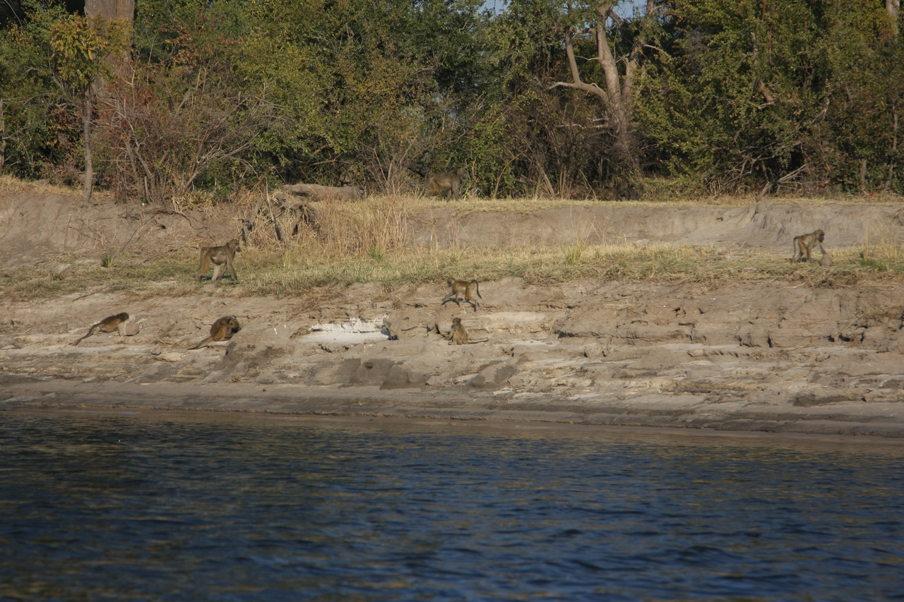 [28250] 2016_07_02_10_27_09_Africa_Canon_EOS_40D_IMG__12051.jpg