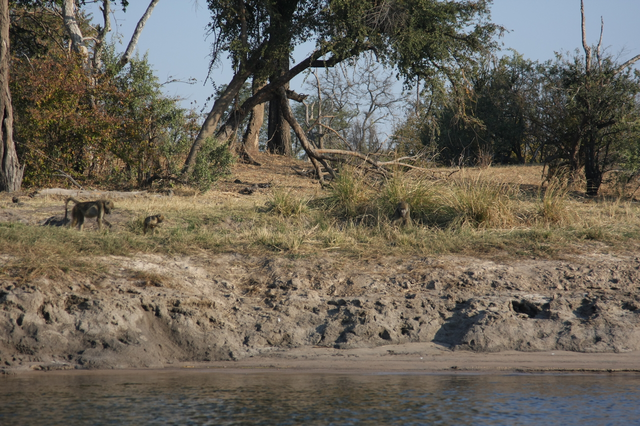 [28255] 2016_07_02_10_27_16_Africa_Canon_EOS_40D_IMG__12052.jpg