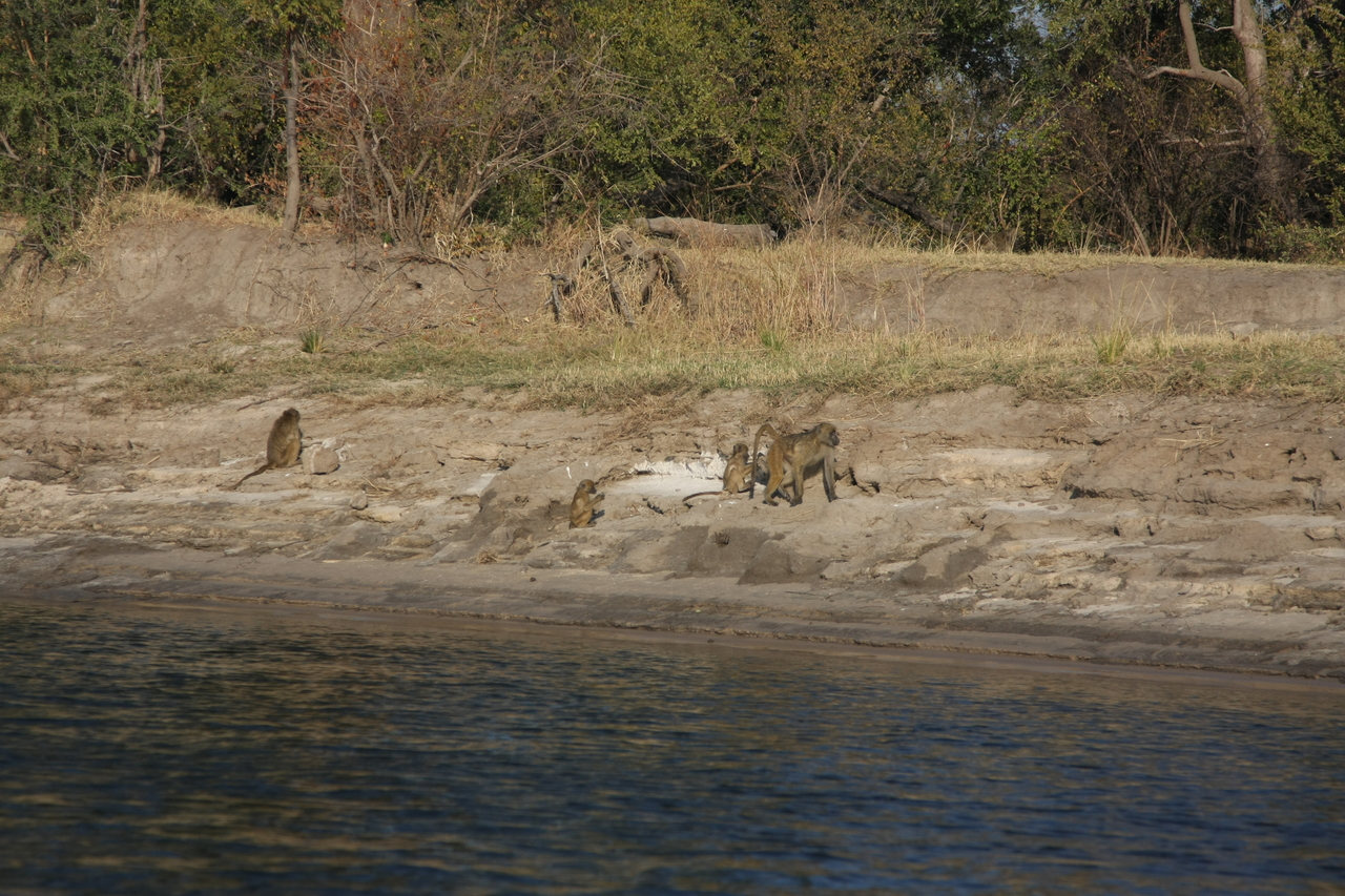 [28257] 2016_07_02_10_27_40_Africa_Canon_EOS_40D_IMG__00064.jpg