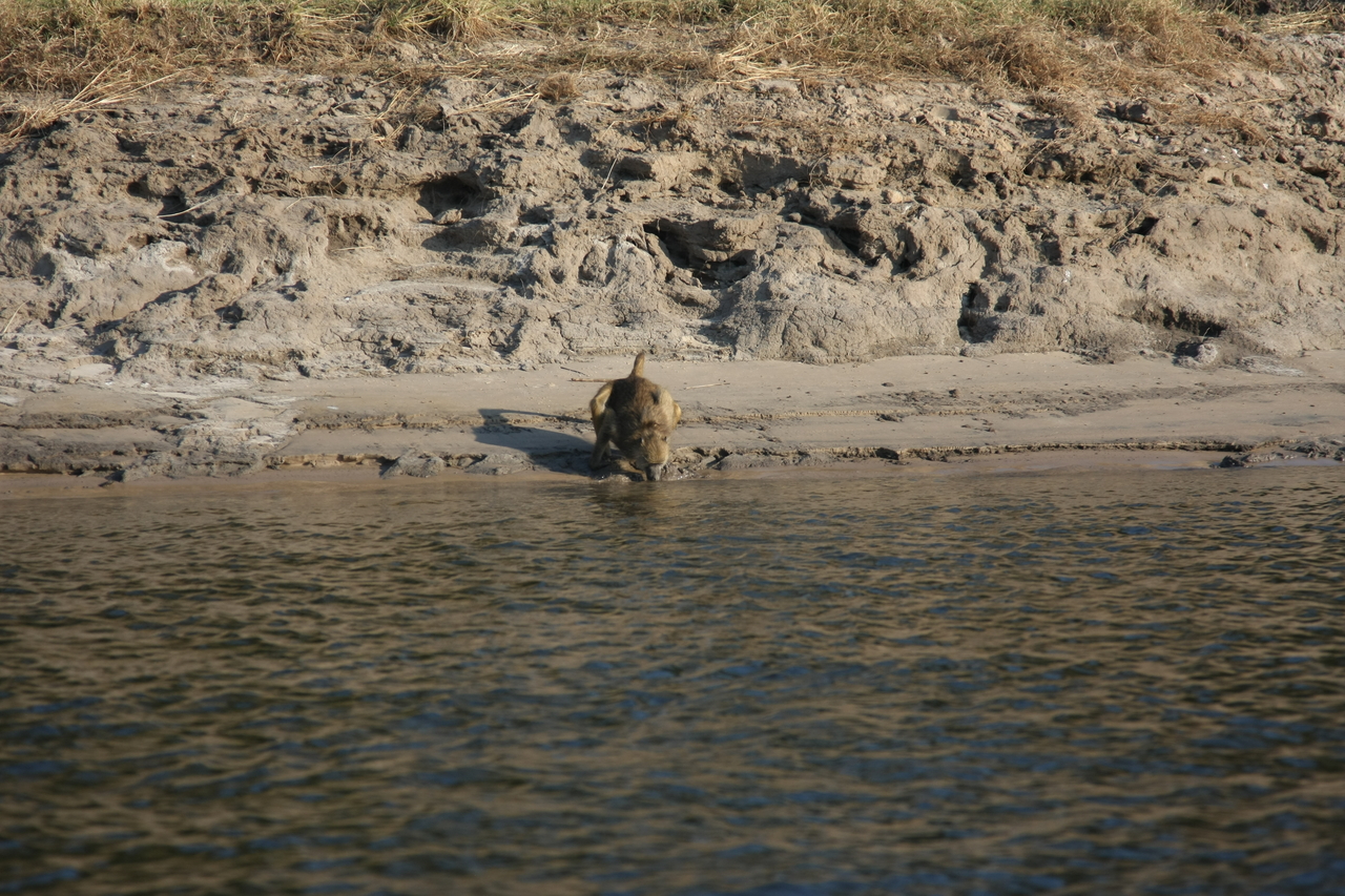 [28285] 2016_07_02_10_28_07_Africa_Canon_EOS_40D_IMG__12063.jpg