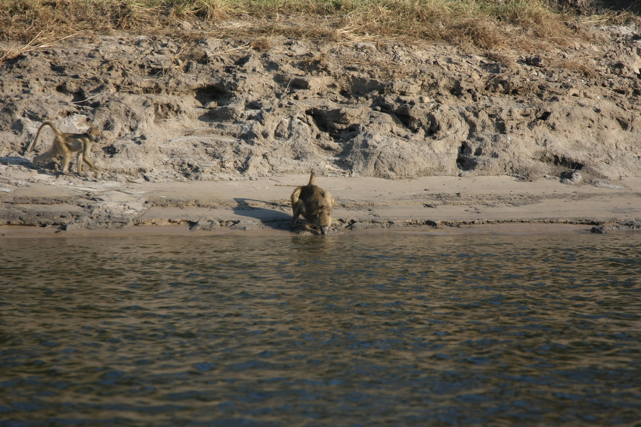 [28291] 2016_07_02_10_28_11_Africa_Canon_EOS_40D_IMG__04619.jpg