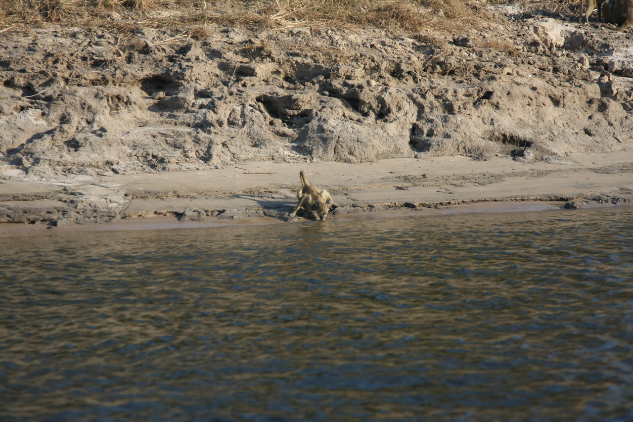 [28301] 2016_07_02_10_28_23_Africa_Canon_EOS_40D_IMG__12069.jpg