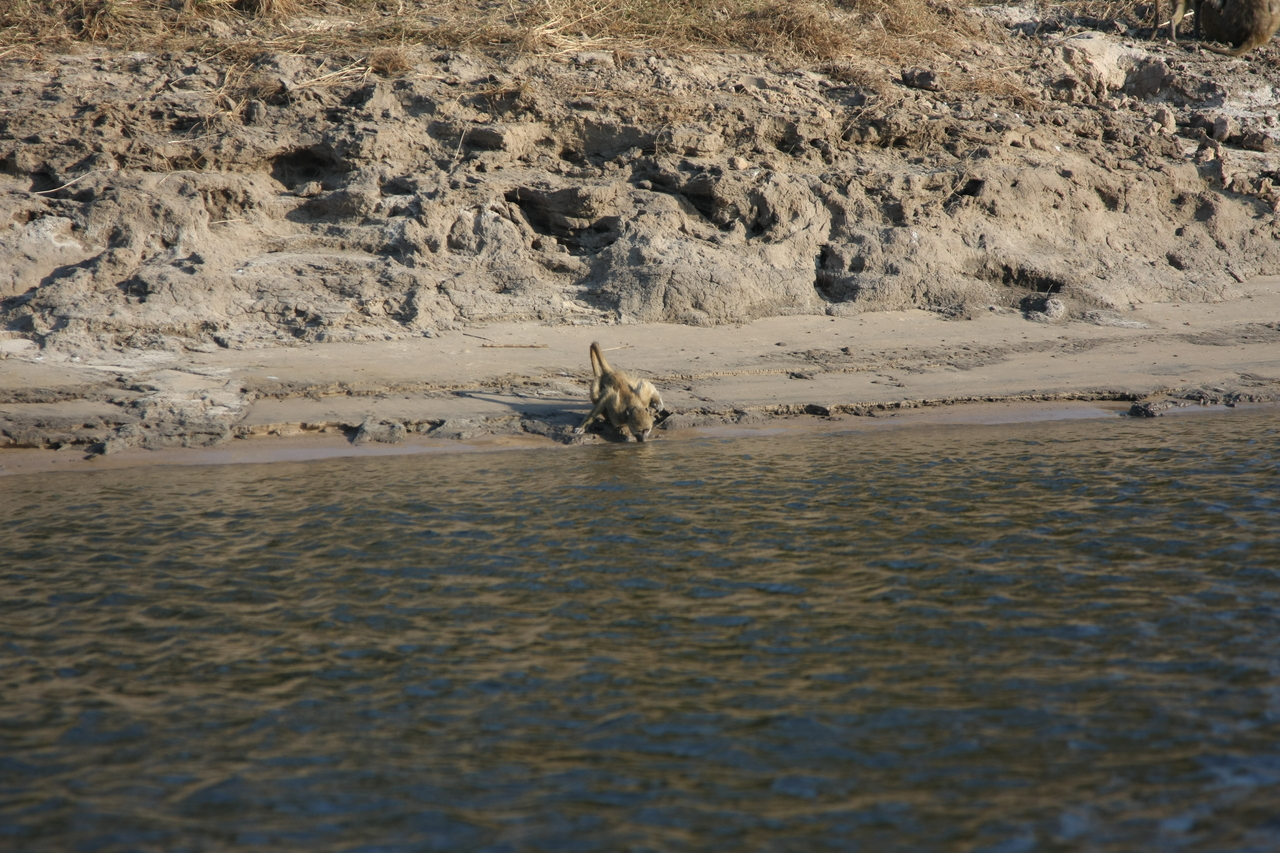 [28306] 2016_07_02_10_28_24_Africa_Canon_EOS_40D_IMG__12071.jpg