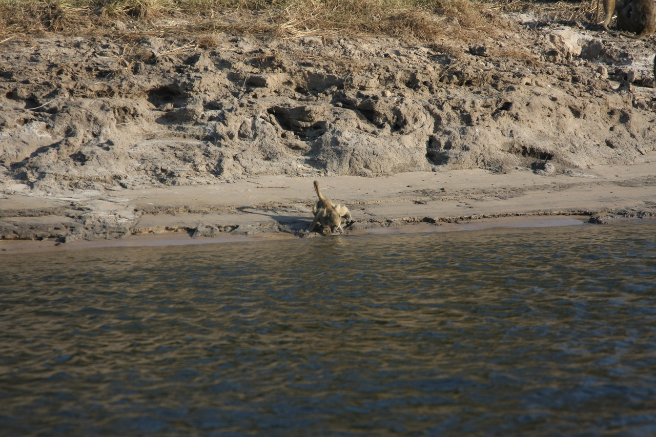 [28310] 2016_07_02_10_28_25_Africa_Canon_EOS_40D_IMG__04626.jpg