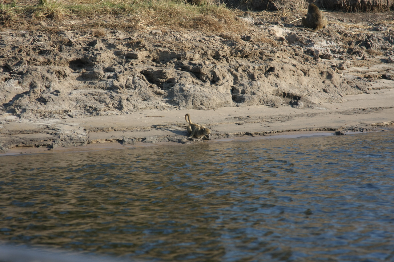 [28319] 2016_07_02_10_28_43_Africa_Canon_EOS_40D_IMG__12076.jpg
