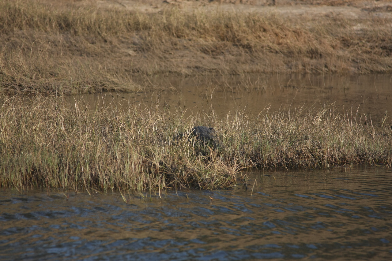 [28322] 2016_07_02_10_32_46_Africa_Canon_EOS_40D_IMG__12077.jpg