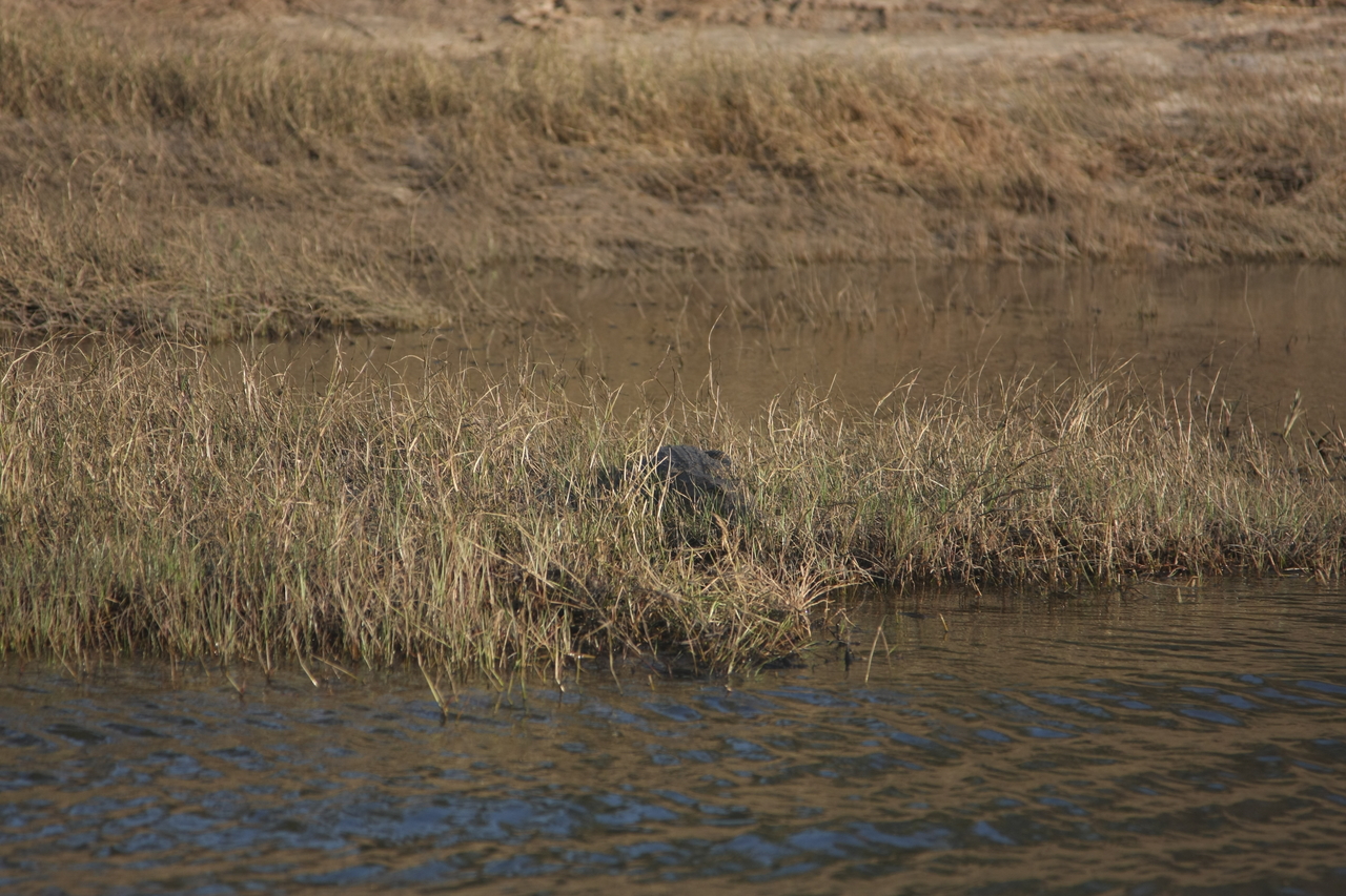 [28327] 2016_07_02_10_32_47_Africa_Canon_EOS_40D_IMG__12078.jpg