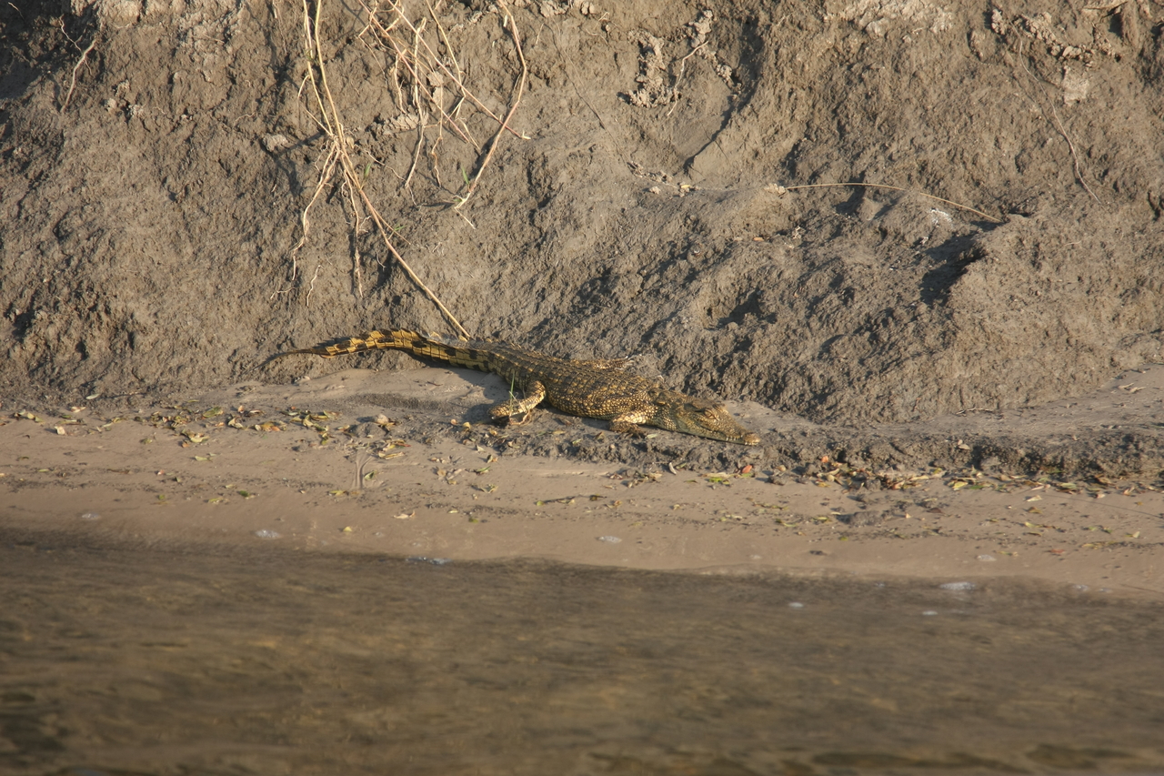 [28366] 2016_07_02_10_49_28_Africa_Canon_EOS_40D_IMG__00103.jpg