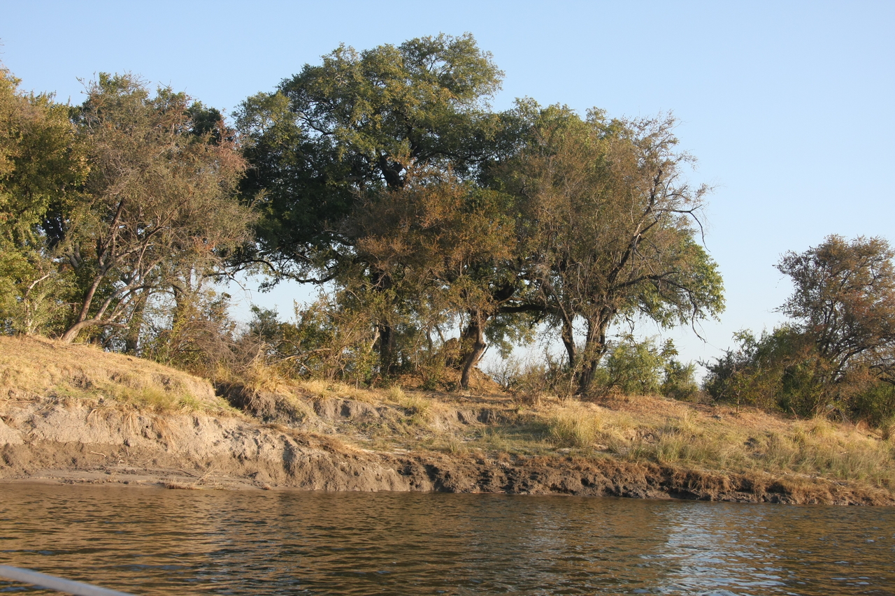 [28396] 2016_07_02_10_56_46_Africa_Canon_EOS_40D_IMG__00115.jpg