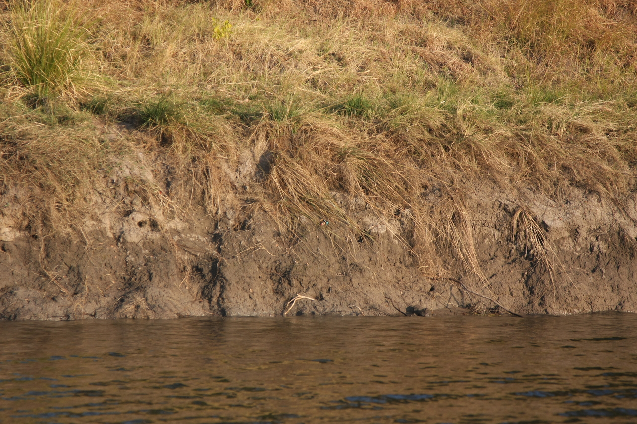 [28401] 2016_07_02_10_57_46_Africa_Canon_EOS_40D_IMG__00116.jpg