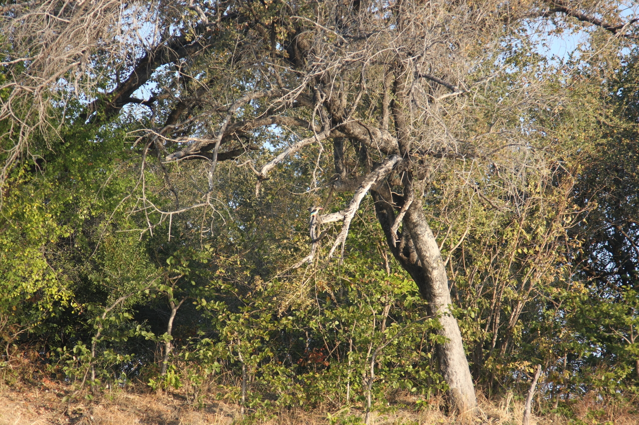 [28417] 2016_07_02_10_57_53_Africa_Canon_EOS_40D_IMG__12110.jpg