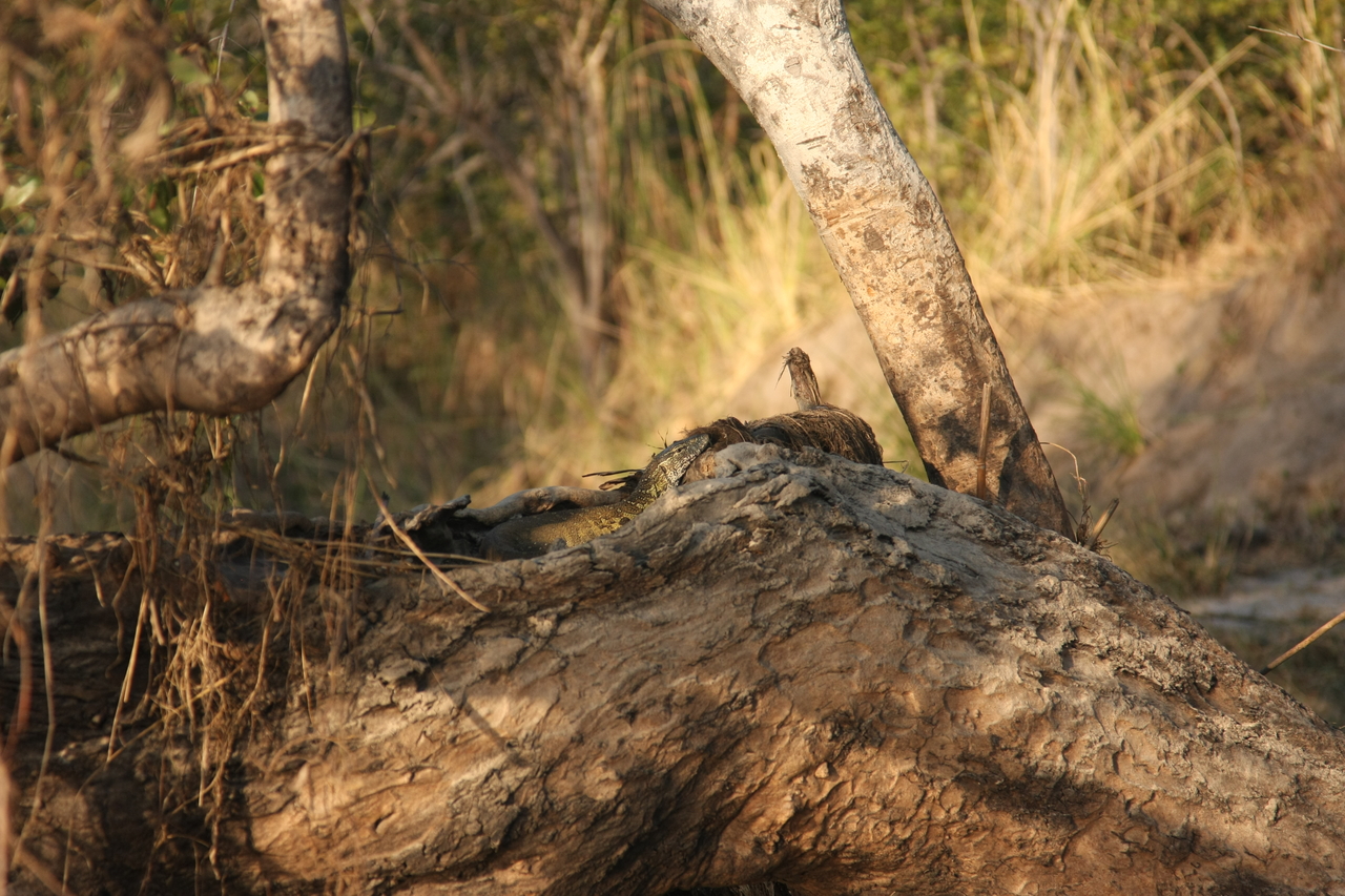 [28438] 2016_07_02_11_00_50_Africa_Canon_EOS_40D_IMG__00130.jpg