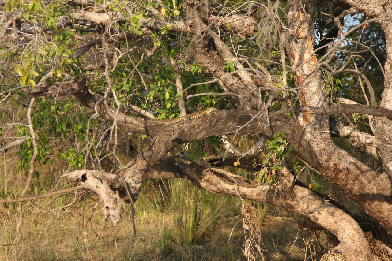 [28454] 2016_07_02_11_02_34_Africa_Canon_EOS_40D_IMG__12124.jpg