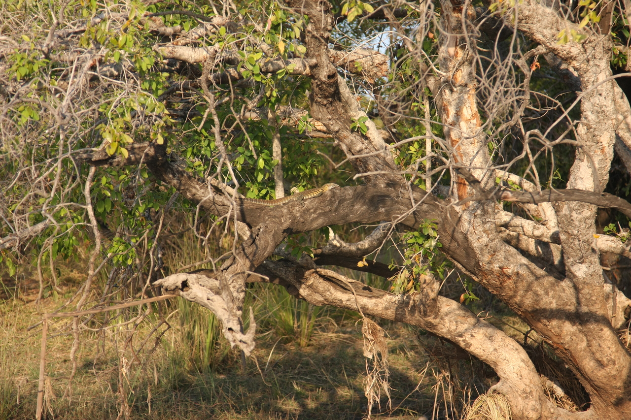 [28459] 2016_07_02_11_03_02_Africa_Canon_EOS_40D_IMG__00138.jpg