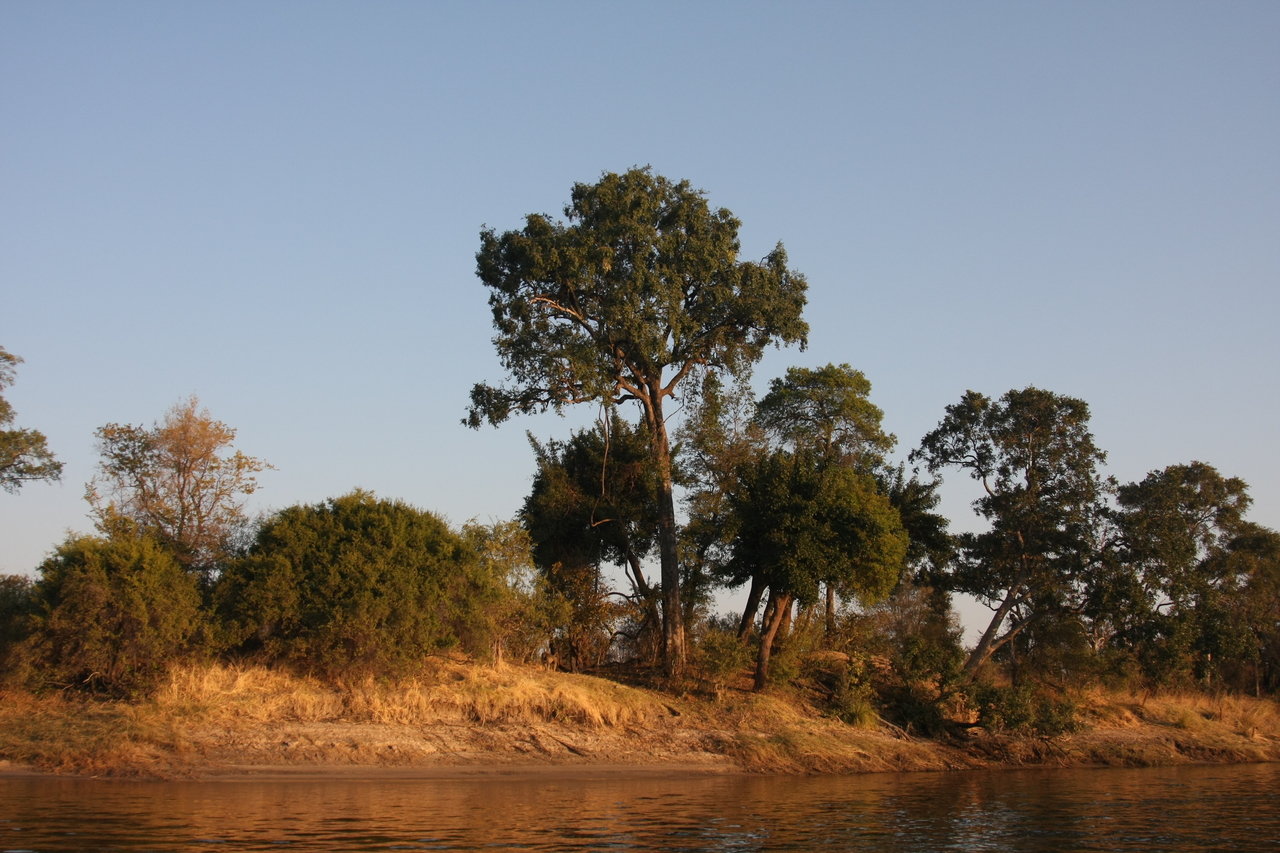 [28470] 2016_07_02_11_14_10_Africa_Canon_EOS_40D_IMG__00139.jpg