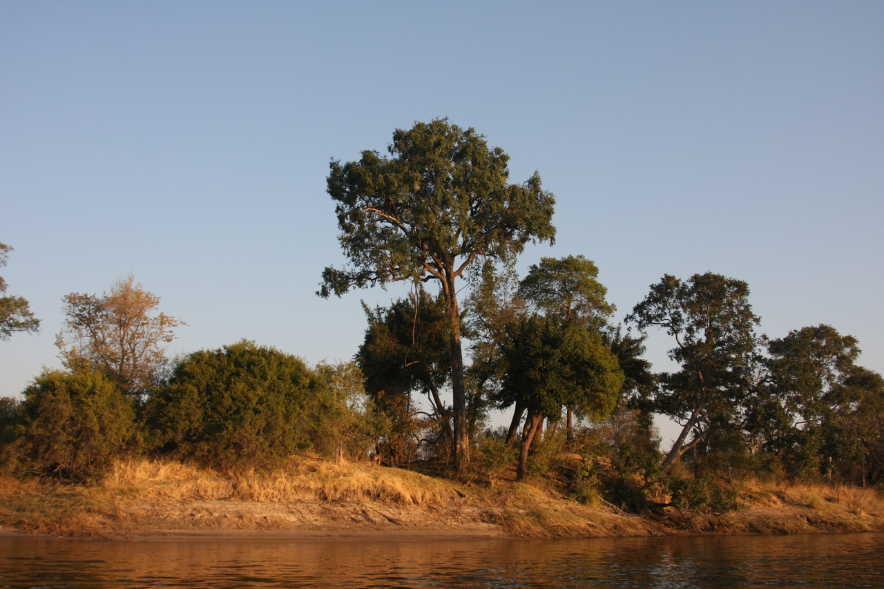 [28471] 2016_07_02_11_14_10_Africa_Canon_EOS_40D_IMG__00140.jpg