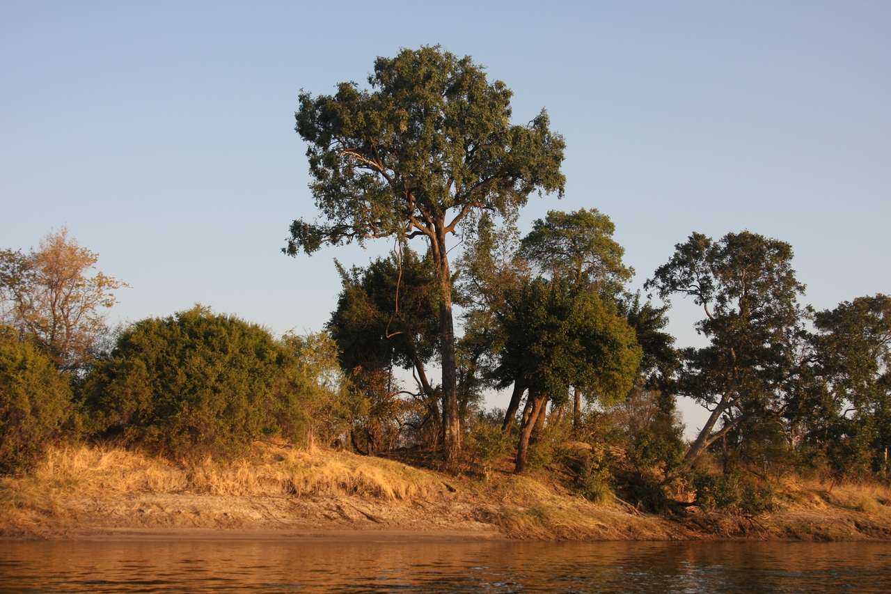 [28481] 2016_07_02_11_14_19_Africa_Canon_EOS_40D_IMG__12132.jpg