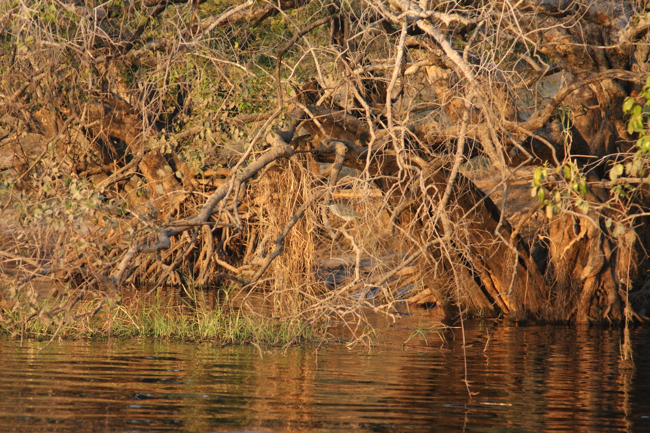 [28517] 2016_07_02_11_25_30_Africa_Canon_EOS_40D_IMG__12145.jpg